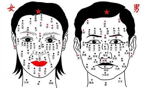 臉上的痣代表什麼意思|「臉痣」看健康、運勢！專家解析10種痣：眼下這顆痣。